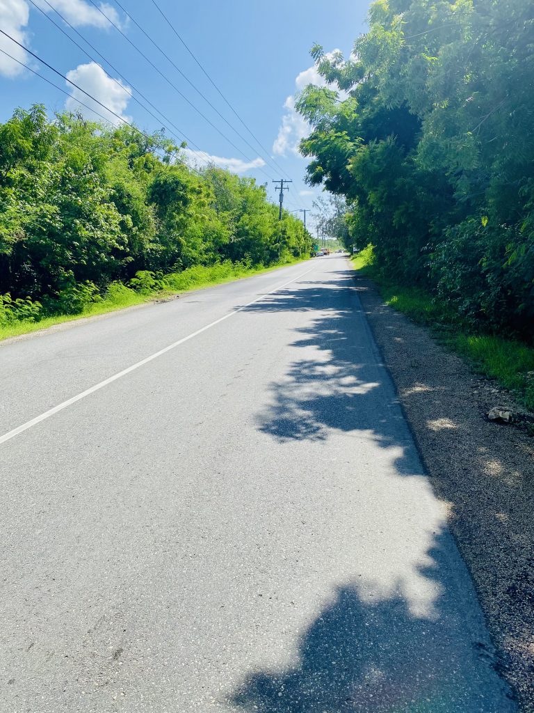 The Road to Long Bay Is Paved with Good Intentions … Literally